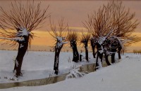 /album/aatanas-marincheshki-art/a425606-300878646698694-1803832394-n-jpg/
